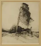 John G. Mathieson, Windswept Pine Trees, drypoint etching on paper