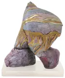Coeleen Kiebert, Walking Figure, Painted ceramic sculpture