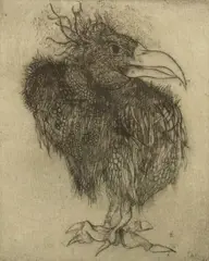 Peter Paone, Vulture Bird, etching on paper