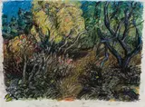 Jon Imber, Wooded Path, 1987, Oil pastel on paper