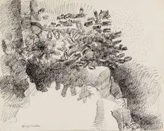 Henry Kallem, Foliage Study Monhegan, Pen and ink on paper