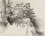 Henry Kallem, Foliage Study Monhegan, Pen and ink on paper