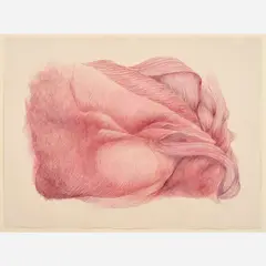 Sharon Hunter-Putsch, Untitled, 1983, Pastel
