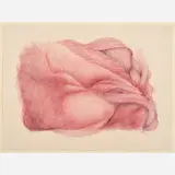 Sharon Hunter-Putsch, Untitled, 1983, Pastel