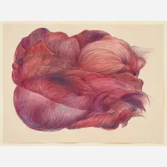 Sharon Hunter-Putsch, Untitled, 1983, Pastel