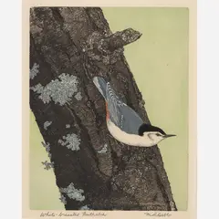 Maurice R. Bebb, White-Breasted Nuthatch, 1960, Color etching on paper
