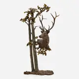 Mark Hopkins, Among the Aspen