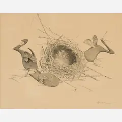 Kozo Dobashi, Cormorants, 1950, Lithograph on paper