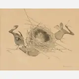 Kozo Dobashi, Cormorants, 1950, Lithograph on paper