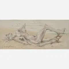 Frederic James, Untitled (Driftwood Nude), 1953, Graphite, chalk