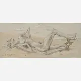 Frederic James, Untitled (Driftwood Nude), 1953, Graphite, chalk