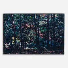 Frederick Nichols, Banks on the Rapidan, 1979, Oil on canvas