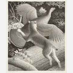 William Wind McKim, Bobcat and Turkey, 1961, Lithograph on paper