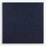 Nick Vaccaro, XIX