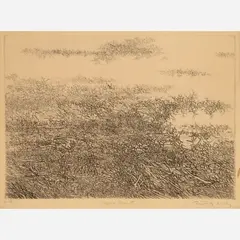 Gabor Peterdi, Oregon Coast, 1961, Etching
