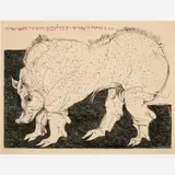 Leonard Baskin, Pig, 1969, Etching on paper