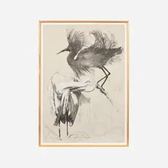 Ellen Lanyon, Black Egret, 1985, Lithograph