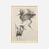 Ellen Lanyon, Black Egret