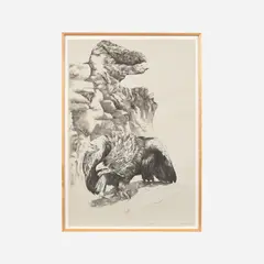 Ellen Lanyon, Eagle Beak, 1985, Lithograph