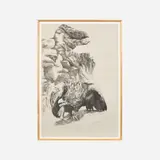 Ellen Lanyon, Eagle Beak