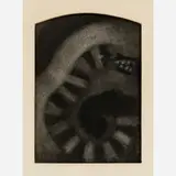 Nicholas Africano, The Serpent, 1971, Charcoal on paper