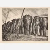John Steuart Curry, Elephants