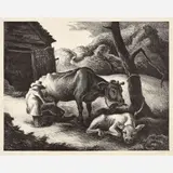 Thomas Hart Benton, White Calf, 1945, Lithograph on paper