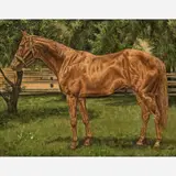 Linda Lovett, Indian Hemp, Chestnut Thoroughbred Stallion, 1949, Oil on canvas