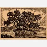 Birger Sandzén, Pond with Willows, 1930, Linocut on paper
