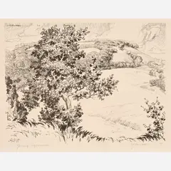 Coy Avon Seward, Young Sycamore, 1929, Lithograph