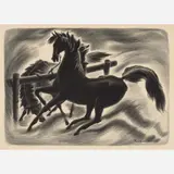 Phil Paradise, Black Stallion