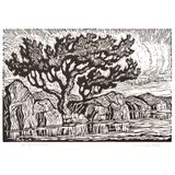Birger Sandzén, Sunshine Lake, 1928, Linocut on paper