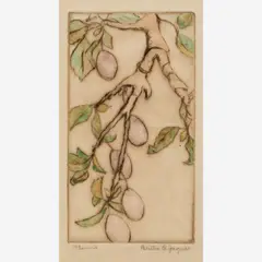 Bertha Jaques, Plums, 1931, Hand-colored drypoint
