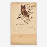 Zachariah Reynolds, The Little Owl (The owl of the woods, the night bird), 1811, Watercolor and ink