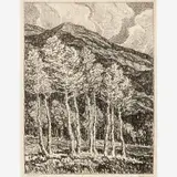 Birger Sandzén, Aspens, 1918, Lithograph on paper
