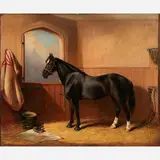Black Stallion by Edward Lloyd of Ellesmere, 1871, Oil on canvas, offered Nov 2022