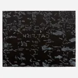 Robert W. Fichter, Catfish Wrapper, 1989, Lithograph on paper