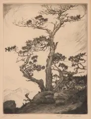 Lyman Byxbe, Junipers, Etching on paper