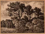 Birger Sandzén, Willow and Cottonwood