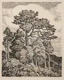 Pine and Aspen by Birger Sandzén, 1923, Lithograph on paper, offered Mar 2020