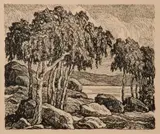 Birger Sandzén, Birches, 1924, Lithograph on paper