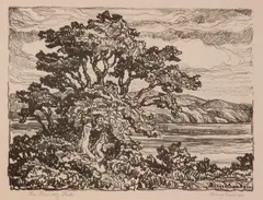 The Friendly Lake by Birger Sandzén, 1929, Lithograph on paper, offered Mar 2020