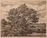 Birger Sandzén, Meadow Pond, 1934, Lithograph on paper