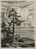 Birger Sandzén, Colorado Pines