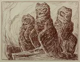 Birger Sandzén, Three Owls, 1918, Lithograph on paper