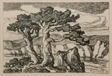 Birger Sandzén, Arroyo with Trees, 1925, Lithograph on paper