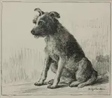 Birger Sandzén, Rags
