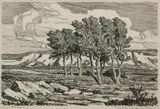 Birger Sandzén, Stony Pasture with Cottonwood Grove