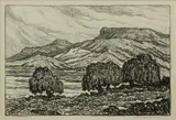 Birger Sandzén, Willows by the Rio Grande