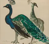 Gertrude Freyman, Peacocks, Watercolor on paper